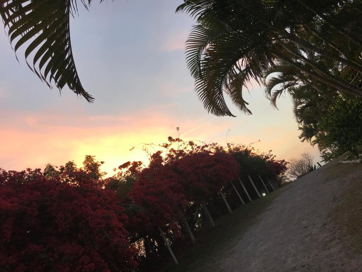 Pousada Halliny Do Rosa برايا دو روزا المظهر الخارجي الصورة